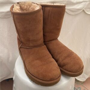 Ugg boots women's chestnut